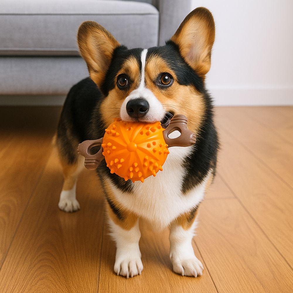 Beißfestes Hundeknochen Molar Ball Weiches Hundekauspielzeug Hund Beißring Haustiertraining