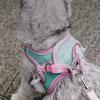Cat Traction Rope Cute Vest Style Chest and Back Anti Slip, Kitten Velcro Safety Buckle, Pet Walking Rope