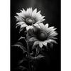 Modern Black and White Flower Posters Abstract Canvas Painting Print Pictures Wall Art Poster Home Living Room Decor Frameless