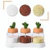 Huiyu Sugar Dispenser, Salt Dispenser, Spice Bottle, Seasoning Container (Set of 4)