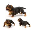 Educational Simulation Bulldog Ornaments Pitbull Figurine Garden Decor Bulldog Model  Collection