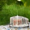 Transparent Snail Trap Catcher Snail Removal Device Planaria Pest Catch Box Fish Tank Cleaning Tool