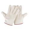 Canvas Work Gloves - 10 Pairs
