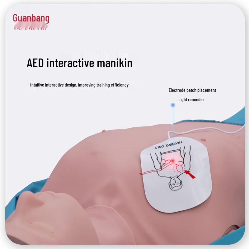 Guanbang CPR Resuscitation Training Manikin