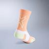 (Unisex) Vector Light Cushion Crew Socks_UA7005EFZP-MND