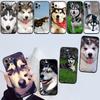 NH32 Husky Dog New High-End Shell Phone Case for iPhone 16 15 14 13 12 Pro Max Plus Mini