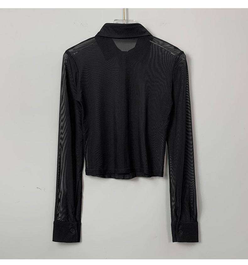 Korean Slimming See-through Mesh Long Sleeve Top for Women