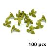 DIY Plants Bricks 37695 Carrot Leaves City House Garden Stem With 3 Leaves Grass Buildings Blocks Accesories MOC Parts Toys