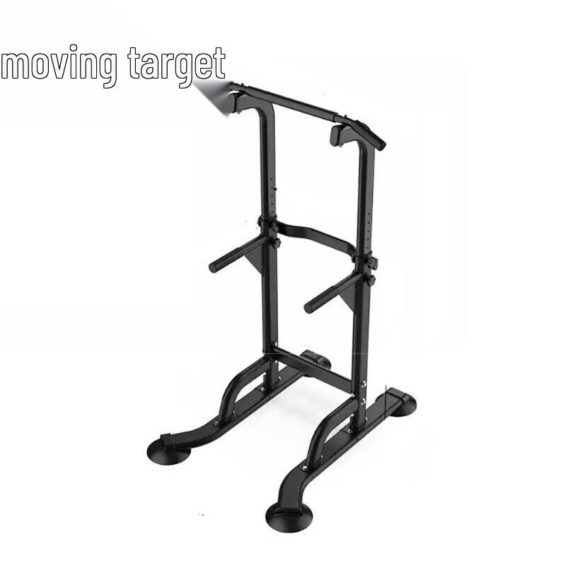 Dongbiao Home Pull-Up and Dip Station