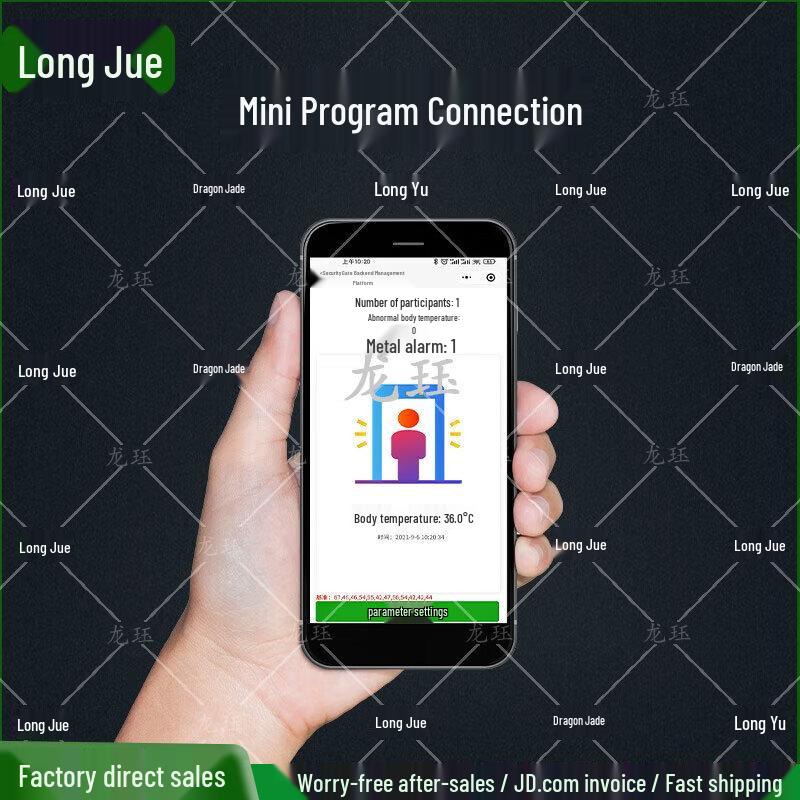 Longjue HD300C2 Integrated Security Gate