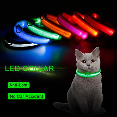 Collare luminoso a LED Collare di sicurezza luminoso regolabile per piccoli animali domestici per forniture per cani da compagnia all'aperto