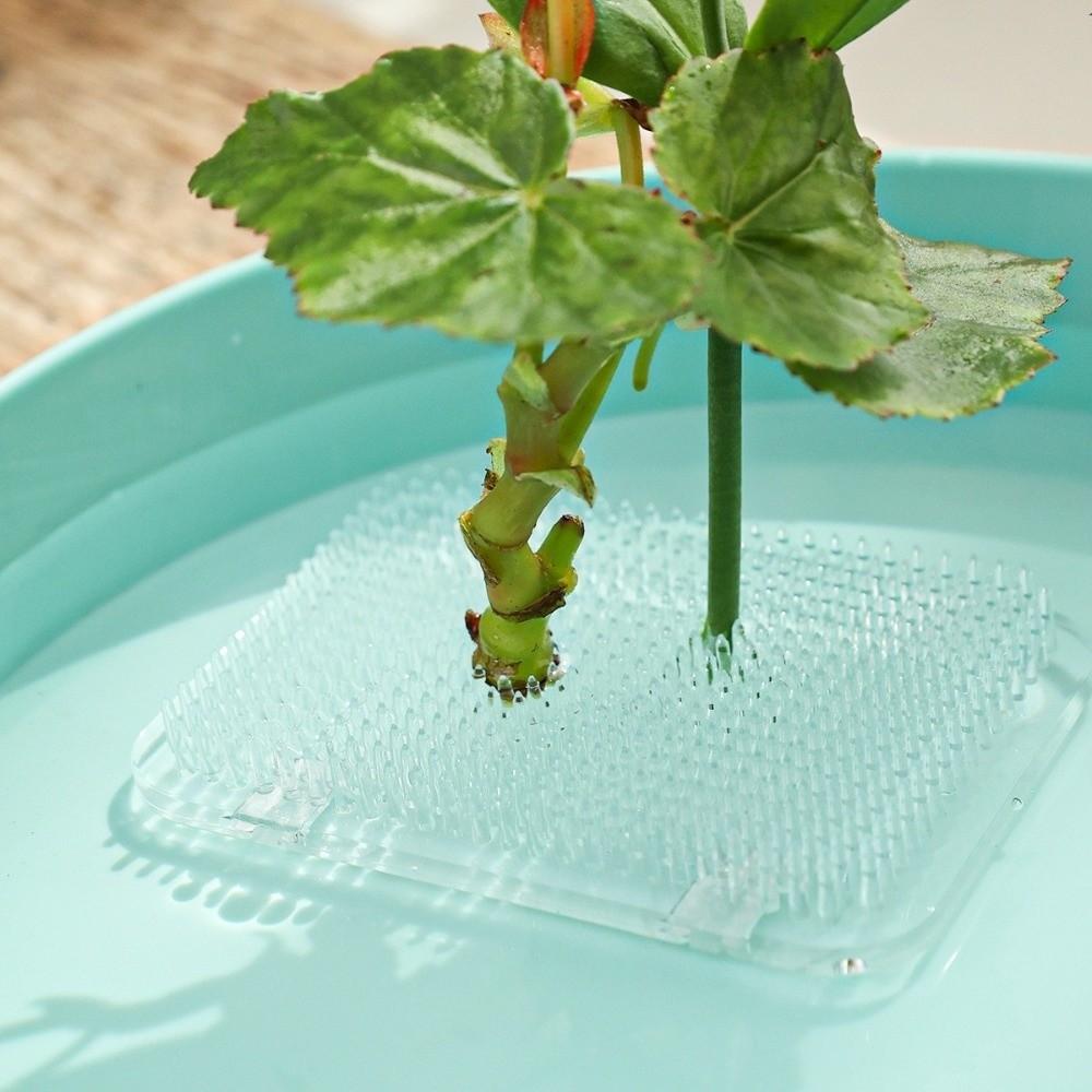 Round Flower Arranger Rectangle Pin Frog Holder Creative Fixed Arranging Tool Flower Arranging