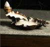 Buddha's Hand Incense Burner Ornament