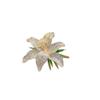 Ins Style Brooch Exquisite Luxury Blooming Lily Brooch Inlaid With Diamonds Light Luxury Versatile Collar Pin Accessories Anti-Light Chest