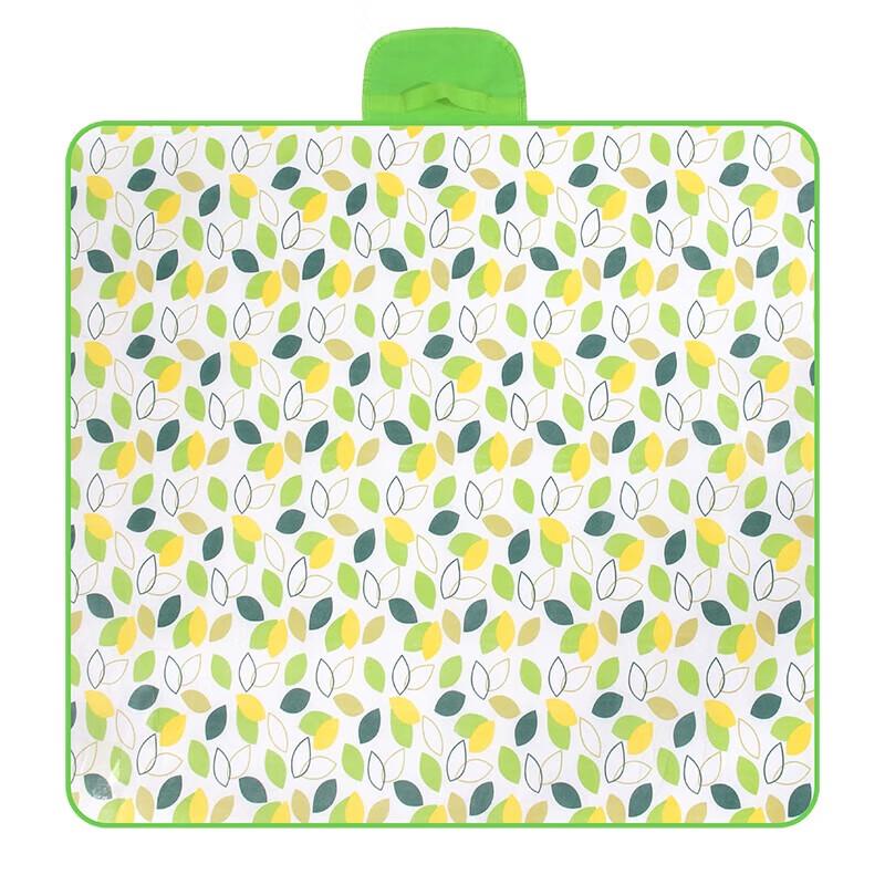 Quyoubang Outdoor Picnic Camping Mat