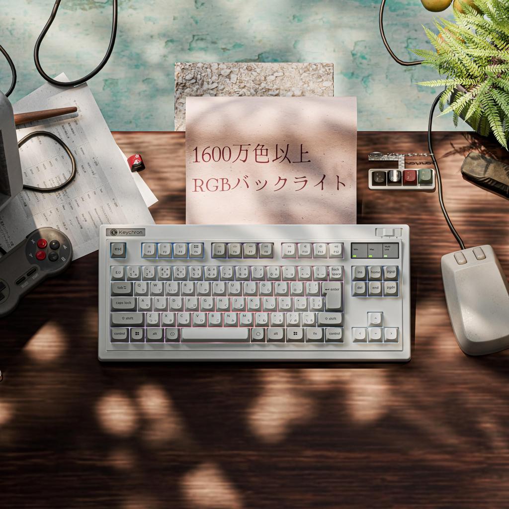R3 Custom Mechanical Keyboard TKL Layout JIS Layout PBT Keycaps RGB Backlight Keychron Apex Switches Compatible Retro White Red Switches Keychron