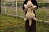 Yoshitoku Labrador Retriever Plush Large Toy, White,