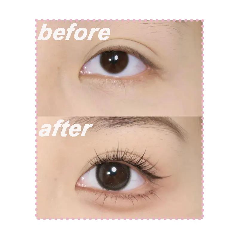 Natürliche Wimpernbüschel DIY Manga Wimpern Transparent Terrier Stränge Wimpern Weiche Falsche Wimpern Wimpern Tägliches Make-Up