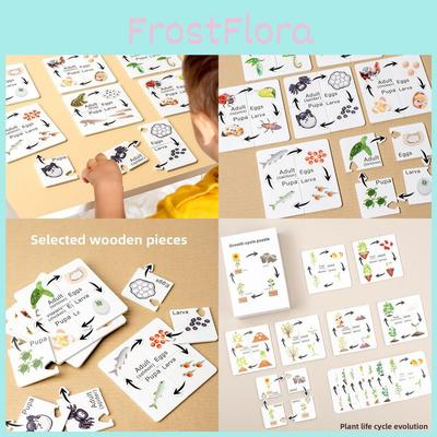 Juguetes educativos y científicos – Ordenadores educativos
