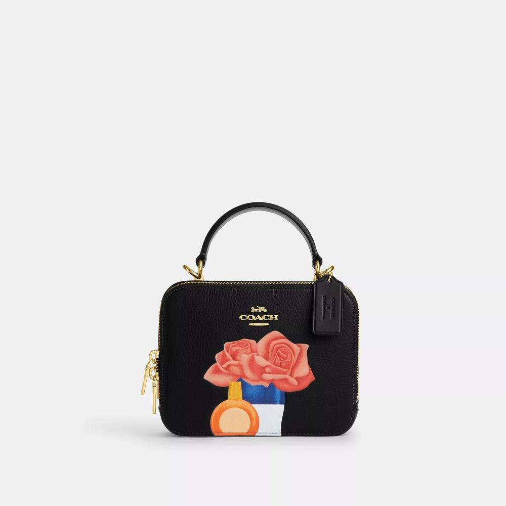 

Коробка через плечо Coach Coach X Tom Wesselmann