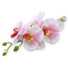 Mode Damen Falsche Phalaenopsis Blume Haarspange Braut Hochzeit Haarschmuck