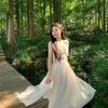 Elegant European Mesh Summer Dress - Xilan Butterfly Dream
