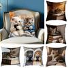 Реалістична наволочка для подушки-кішки 18x18 дюймів з візерунком кота, наволочка для декоративної подушки, мила наволочка для подушки з кошеням для декору дому, дивана, софи, вітальні, спальні