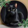 Black Cat with Yellow Eyes Realistic Round Metal Sign D Flat Printed Feline Portrait Art Tin Plaque Cat Lover Pet Home Livi
