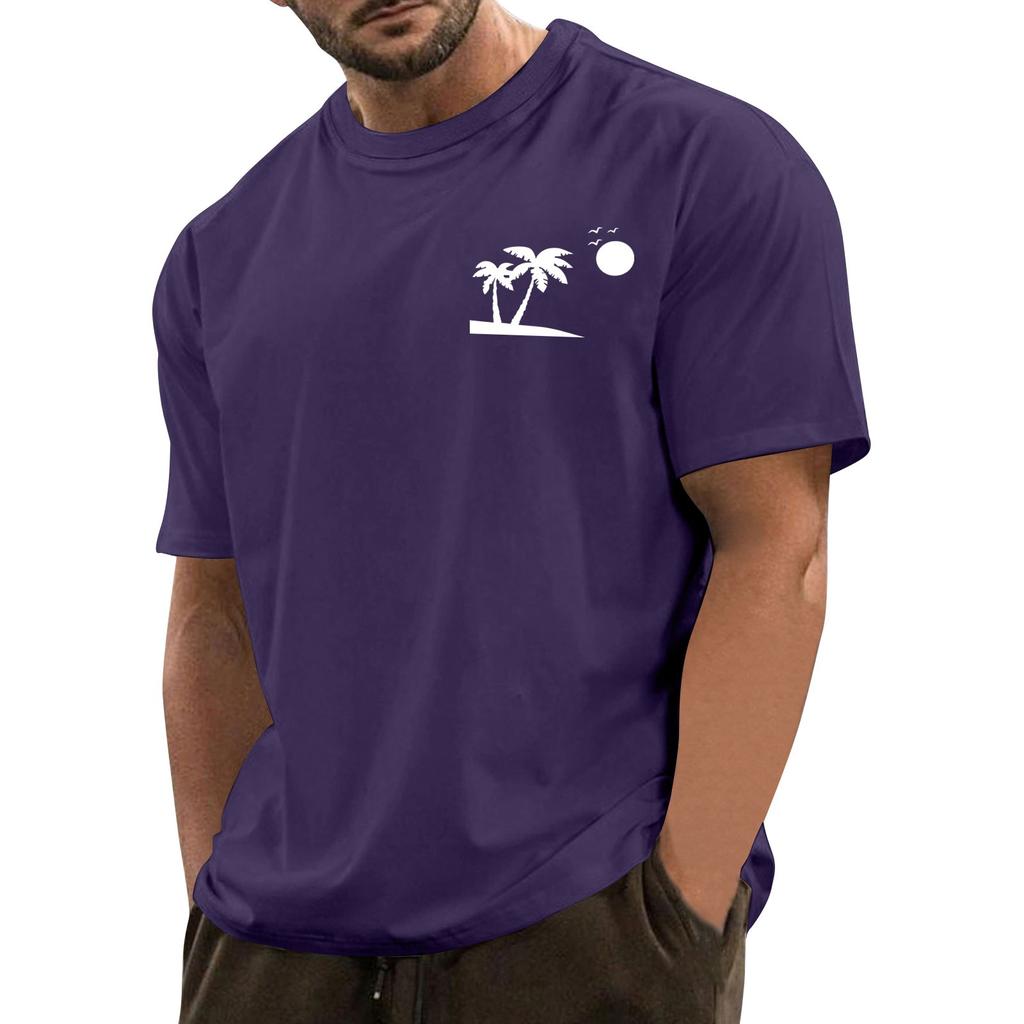 Men's Fashionable Casual Hawaiian Print Round Neck Short-Sleeved T-Shirt Top