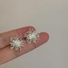 Korean Fashion Retro Personality Firework Flowers Studs Earrings for Women Daily Accessories Exquisite Zircon Party Jewerly Gift