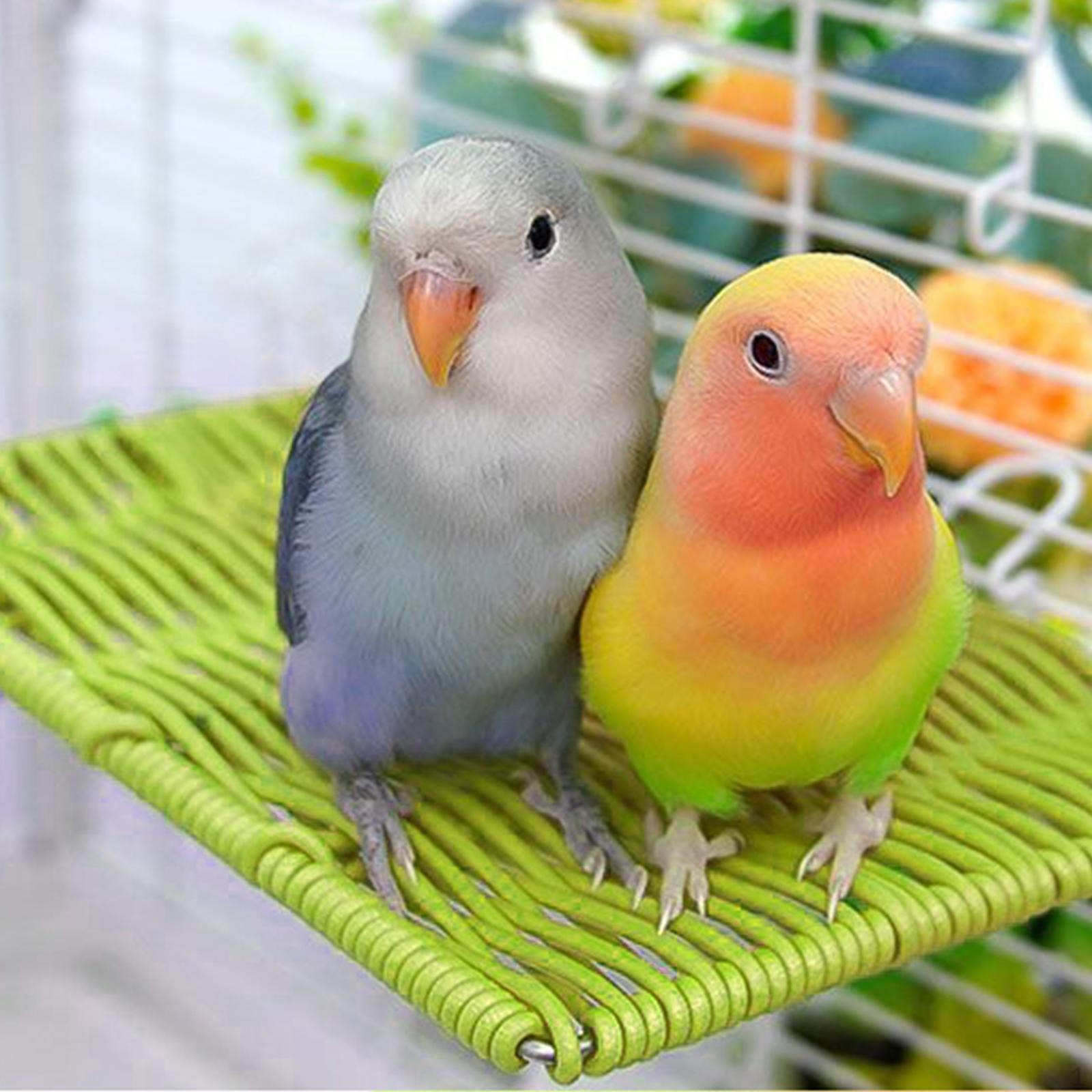 

Жердочка для птиц, аксессуар для клетки, плетеный декор из имитации ротанга, подставка для попугая, место для отдыха для зелёный