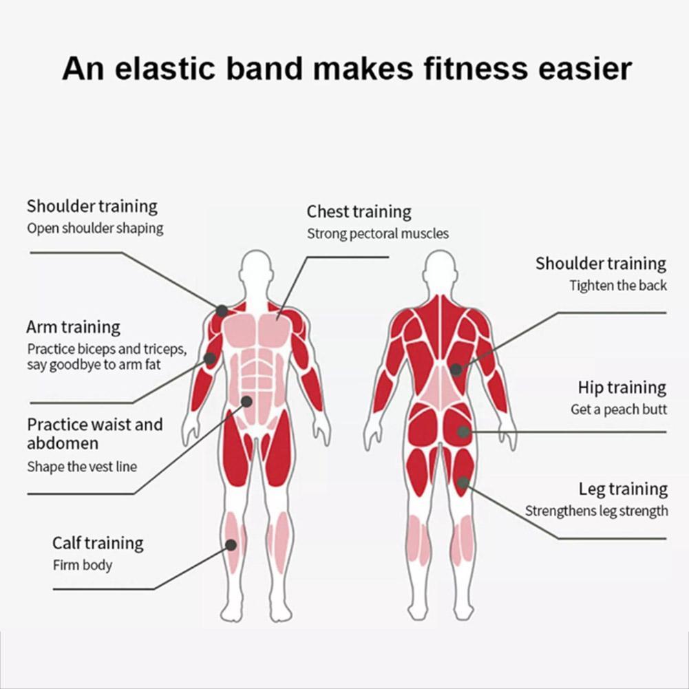 Fitness-Widerstandsbänder, elastische Gummi-Expanderbänder, Sport, rot, Stärke, Yoga-Zubehör, Spannungsübungen, Fitnessgeräte