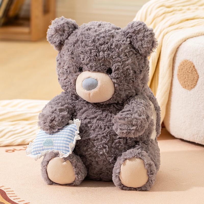 Cartoon Bear Removable Electric Hot Water Bottle