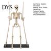 Festival Window Hanging Halloween Swinging Skeleton Decoration, 35" Large Spooky with Tree Decor Wooden Swing for Yard, Garden, Porch, Tree,