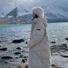 New Cotton-padded Clothes Women's Oversize Bread Clothes Down Cotton-padded Clothes Winter Coats Long Thickened Warm Cotton-padded Jackets