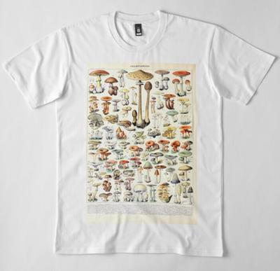 Na górę – T-shirty i koszulki