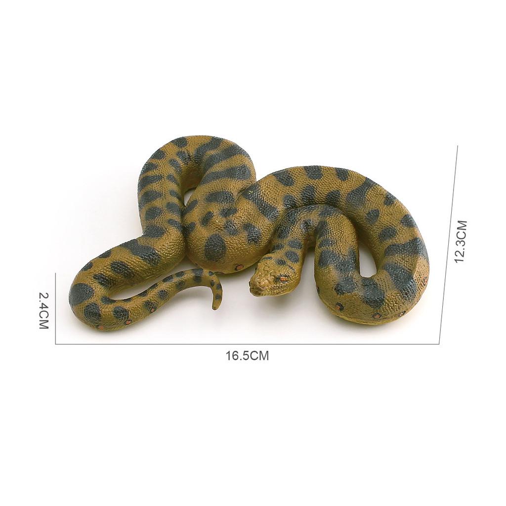 Reptile Simulation Pvc Corallus Enydris Model For Kids Play And Classroom Decor