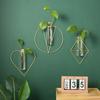 Nordic Ins Glass Test Tube, Hydroponic Vase, Wall Decoration, Home Decoration, Modern, Simple