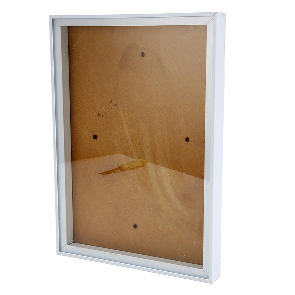 Picture Frame with Bracket Easy to Disassemble Plastic Decorative Photo Frame for Dried Flowers Shells