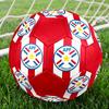 Logo de l'équipe nationale de football du Paraguay Ballon de Football Taille 5, Cousu à la Machine PVC, Durable & Très Rebondissant, Convient à Tous les Âges, Articles de Fan, Matches & Utilisation Extérieure.