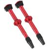 2PCS Valve Stem Tightness No Leakage Corrosion Resistance Silicone Pad Bicycle ValveRed
