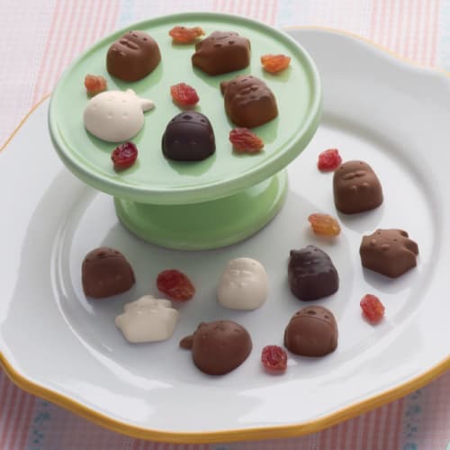 Kai Corporation Minico Silicone Chocolate Mold, Sumikkogurashi DN0508