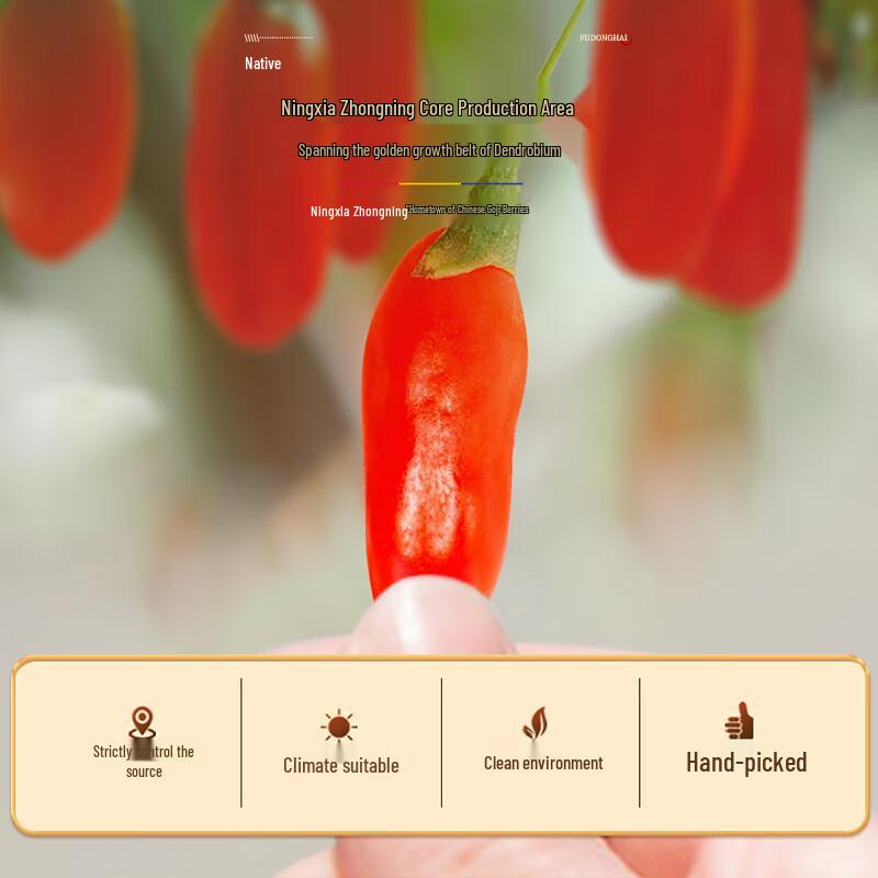 Fudonghai 100% Pure Ningxia Red Goji Berry Puree