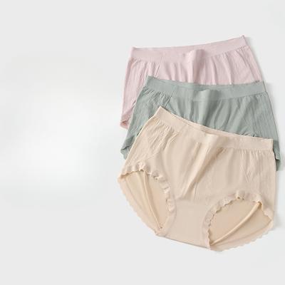 Mutandine a Vita Alta Elasticizzate per Pancia e Glutei da Donna Taglie Forti in Seta Antibatterica