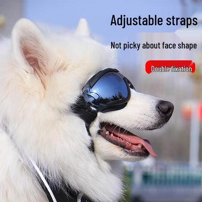 Abbigliamento e scarpe – Accessori per cani