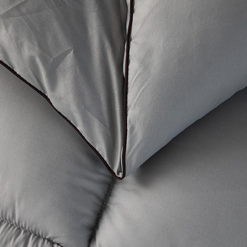 Manya House Hilton Feather Velvet Winter Quilt