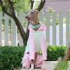 Winter Hundepullover Italienisches Windspiel Whippet Warmer Hundemantel Haustier Fleece Warm Mit Kapuze Vierbeiniger Pullover Overall