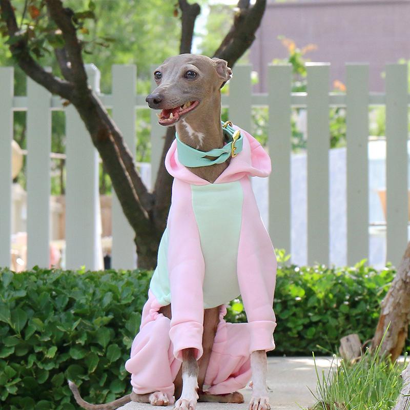 Winter Hundepullover Italienisches Windspiel Whippet Warmer Hundemantel Haustier Fleece Warm Mit Kapuze Vierbeiniger Pullover Overall