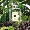Jo Malone London Brombeere & Lorbeer Eau de Cologne 100ml
