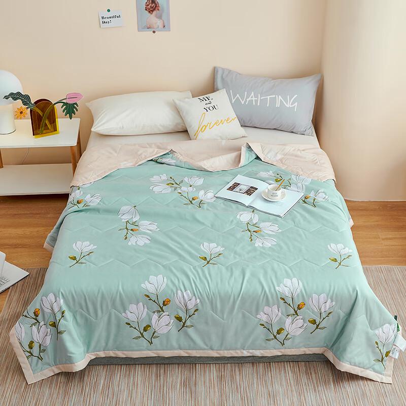 

Yalu Brushed Print Summer Quilt